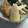ぐっちＰＩＮＧＵ's cooksnap of when they made たけのこと厚揚げのあっさり煮.