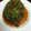 isamu1364's cooksnap of when they made 大葉（しそ）orエゴマの葉のやみつき漬け.