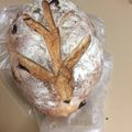 パンパカパアン's cooksnap of when they made パインとキウイのハードパン.
