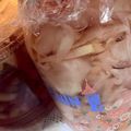 ミセスオリーブ's cooksnap of when they made ガリ♪（新生姜の甘酢漬け）.