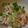 奈保っぺ's cooksnap of when they made 大根とカニカマのサラダ.