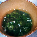 はんぶんこ☆'s cooksnap of when they made 夏野菜　ネバネバ　中華風スープ.
