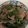 クックOEN6Y3☆'s cooksnap of when they made ピーマンと豚肉の鍋しぎ.