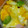 ma___111's cooksnap of when they made そらまめとゆでたまごのチーズ焼き.