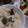 viviouji's cooksnap of when they made 鮎の炊き込みご飯（鮎飯）.