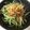 noriko912's cooksnap of when they made 豆苗ともやしの納豆炒め.