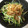 noriko912's cooksnap of when they made 豆苗ともやしの納豆炒め.