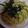 you1117's cooksnap of when they made アボカドとツナの和風クリームパスタ.