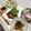 あやしょこたん's cooksnap of when they made 甘〜い新玉ねぎのきのこグリル.