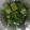 クックYKLSJF☆'s cooksnap of when they made とっても簡単！オクラのさっぱり おひたし.