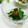 旦那は皿洗い's cooksnap of when they made ニラとオクラのサッパリおひたし(梅風味).