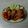 クックVL4391☆'s cooksnap of when they made 簡単！鶏手羽元のさっぱり煮♪.