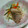 ☆lino☆lino's cooksnap of when they made 野菜いっぱい♬アジの南蛮漬け.
