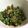 うっどすとっく✩'s cooksnap of when they made 苦すぎない！薄切りゴーヤのおかか炒め.