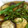 ままる2号's cooksnap of when they made 簡単美味♪夏野菜の洋風焼き浸し.