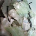 ちぃママ☆ミ's cooksnap of when they made すごく簡単☆キャベツのおつまみサラダ.