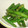 mikiha5's cooksnap of when they made しゃきっと☆いんげんの胡麻和え.