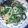 あかぷり's cooksnap of when they made 空芯菜の元気が出る炒めもの.