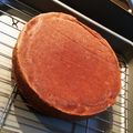 みかこK's cooksnap of when they made しっとりチョコスポンジケーキ.
