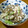 Ｄ☆ちるる's cooksnap of when they made 簡単☆ほうれん草とこんにゃくの白和え.
