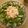 UMAe's cooksnap of when they made ダイエットにも☆蒸し鶏のタイ風サラダ.