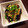 MEGUPAD's cooksnap of when they made 茄子のみぞれ煮浸し.