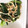 よっしー0332's cooksnap of when they made ♪小松菜とえのき茸の海苔わさび合え♪.