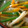 ΦωΦパニーニ☆'s cooksnap of when they made スープ　きのこと野菜　簡単.