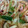 ｋａｍｅｒｉ's cooksnap of when they made イカとネギのぬた.