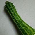 kazooco's cooksnap of when they made ズッキーニのツナマヨ焼き.