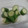 堕天使M's cooksnap of when they made ダシダで簡単☆あっさりやみつききゅうり♫.