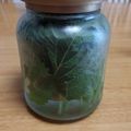 mandryu's cooksnap of when they made 大葉の保存方法.
