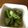JamieKata's cooksnap of when they made 簡単梅肉和え(オクラ・大葉・茗荷).