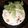 la_breeze's cooksnap of when they made 豆乳の和風エスニック素麺.