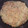 ミーコのママ's cooksnap of when they made 簡単納豆とねぎのまろやかチヂミ風♪お焼き.