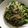 Ｍもぐもぐ's cooksnap of when they made 豚こまのスタミナにんにく炒め.