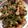 クックF7XL6F☆'s cooksnap of when they made 豚肉オイスターソース炒め中華風.