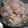 hinaたん's cooksnap of when they made エリンギ？で　なんちゃってマツタケご飯.