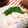 Maaooo's cooksnap of when they made 鮭の白子の湯びき.