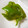 もりちゃんズ's cooksnap of when they made ピーマンとトマトのごま油炒め.