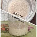 みきとん1227's cooksnap of when they made 酒粕酵母のおこしかた.