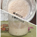 みきとん1227's cooksnap of when they made 酒粕酵母のおこしかた.
