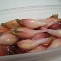 かいとうＸ's cooksnap of when they made 簡単♪　ミョウガの酢漬け.