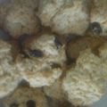 ユリキメママ's cooksnap of when they made 簡単☆マーガリンで基本のスコーン.