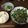 Ｄaｄaの自炊生活's cooksnap of when they made ニラレバ炒め.
