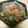 MofeMofee's cooksnap of when they made ✿疲労回復　ゴーヤ竹輪めんつゆ和え✿.