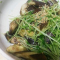 MofeMofee's cooksnap of when they made なすと豆苗の煮びたし.
