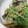 MofeMofee's cooksnap of when they made なすと豆苗の煮びたし.