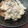 tezz's cooksnap of when they made ちょっとオトナな鶏とキノコのクリーム煮.