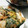 はらやす's cooksnap of when they made 簡単もちもちチジミ.